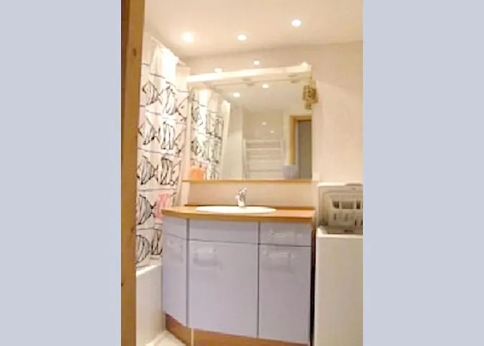 Apartment 70 M² + Terrasse Châtel